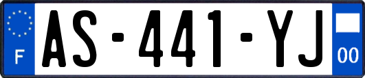 AS-441-YJ