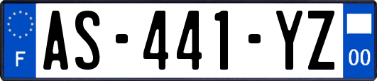 AS-441-YZ