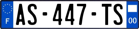 AS-447-TS