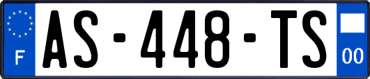 AS-448-TS