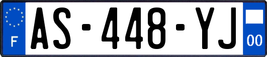 AS-448-YJ
