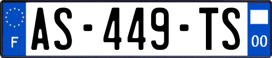 AS-449-TS