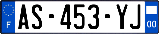 AS-453-YJ