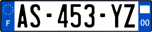 AS-453-YZ