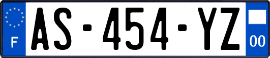 AS-454-YZ