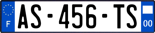 AS-456-TS