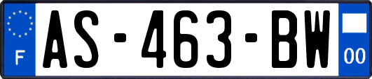 AS-463-BW