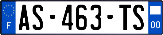 AS-463-TS