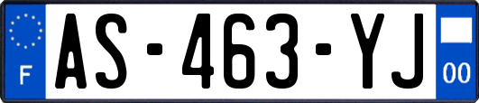 AS-463-YJ