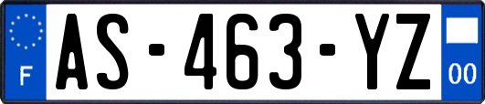 AS-463-YZ