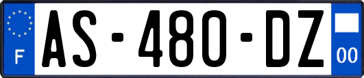 AS-480-DZ