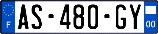 AS-480-GY
