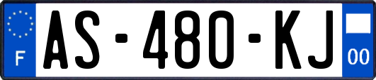 AS-480-KJ