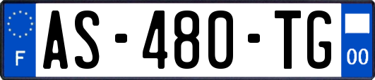 AS-480-TG