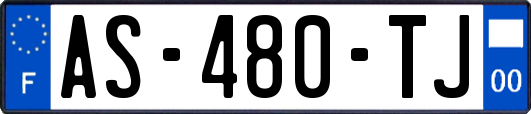 AS-480-TJ