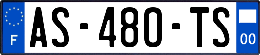 AS-480-TS