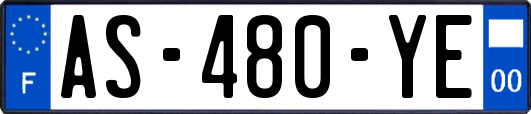 AS-480-YE