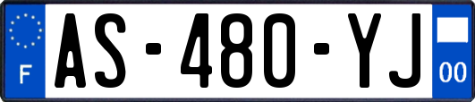 AS-480-YJ