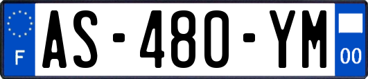 AS-480-YM