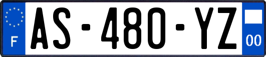 AS-480-YZ