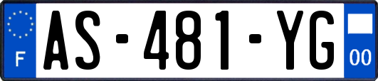AS-481-YG