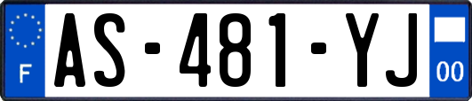 AS-481-YJ