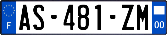 AS-481-ZM