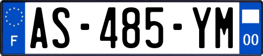 AS-485-YM