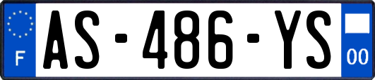 AS-486-YS