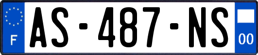 AS-487-NS