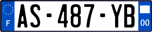 AS-487-YB