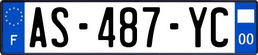 AS-487-YC