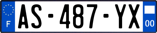 AS-487-YX