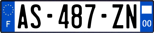 AS-487-ZN