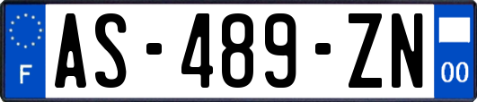 AS-489-ZN