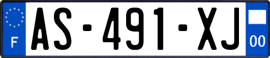 AS-491-XJ