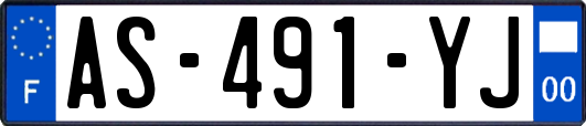 AS-491-YJ