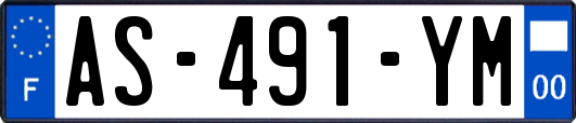 AS-491-YM
