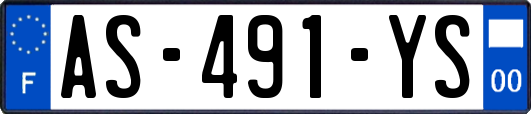 AS-491-YS