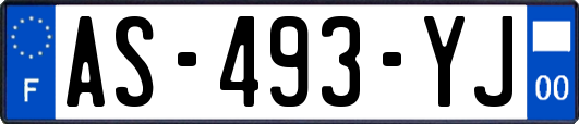 AS-493-YJ