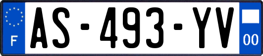 AS-493-YV