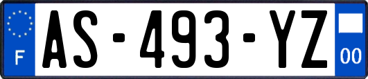 AS-493-YZ