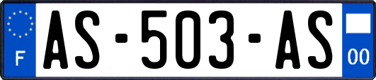 AS-503-AS