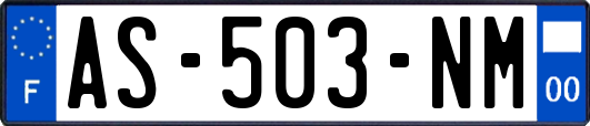 AS-503-NM