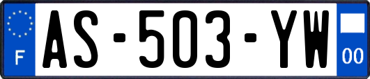 AS-503-YW