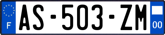 AS-503-ZM