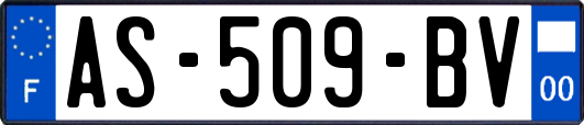 AS-509-BV