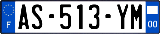AS-513-YM