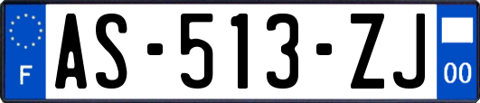 AS-513-ZJ