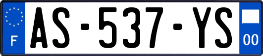 AS-537-YS